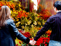 'Sevgiliye karanfil verin'