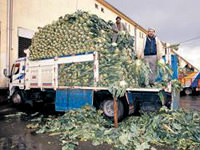 Hal'den gelen feryat