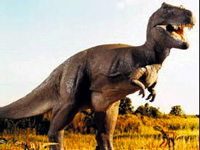 100 milyon yıllık dinozor izleri!