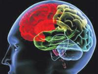Kafanızın büyüklüğü IQ’nuzu etkiler mi?