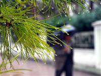 Kuvvetli yağışa dikkat - HARİTALI