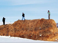 Aloo sesim geliyor mu?