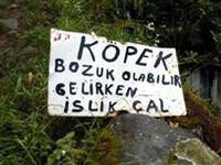 Bu ilanlara gülmemek elde değil!