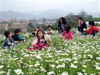 Bodrum çiçeklerle kaplandı