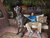 Dünyanın en uzun köpeği