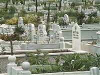 Mezarlıklara neden çiçek koyulur?