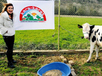Neslihan ablanın çiftliği