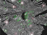 Ay'ın kuzey kutbunda buz bulundu