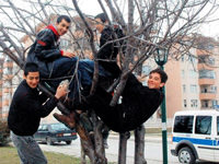 Kim korkar köpekten