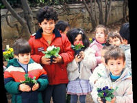 Minik yüreği de 'pamuk' gibi çıktı