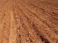 Araziye gömülmüş bebek cesedi bulundu