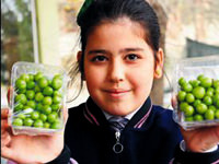 1 kilo erik yemenin bedeli 300 lira