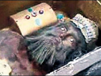 'Mumya Papaz' Kars'ı karıştırdı