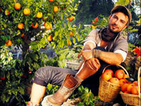Tarkan'a bir kötü haber daha