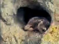 Kış uykusunda ilk kareler