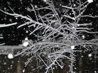 Marmara'ya kar geliyor-HARİTALI