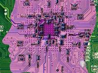 Yenilenmede kilit gen