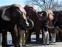 Washington'u filler 'bastı'