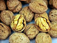 Bir avuç ceviz prostattan koruyor