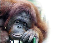 Zaman ne çabuk geçiyor Düşes