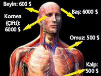 Ölümüz para basıyor
