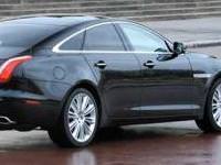 Radikal kedi satışa çıktı