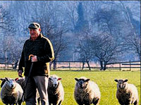 Uzaylılar koyunları kurban etti