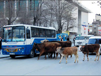 Tatvan'da Hint işi...