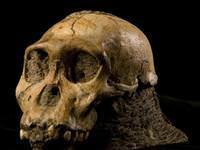 Heyecanlandıran fosiller!