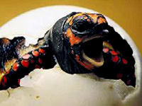 Mucizenin fotoğrafı