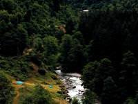 Ormanlık alanda kadın cesedi bulundu