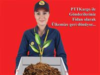 PTT, taşıdığı her kargo için ağaç dikecek