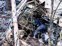 Ağaçlar faciadan kurtardı