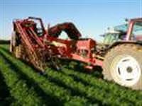 Tarımda bitkisel üretimin değeri arttı