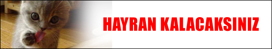 Keyifleri kaçtı-1