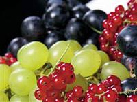 Kanseri önler, cildi korur