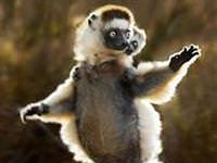 Onlar da ölümün farkında