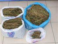 Ağrı'da 9 kilo 164 gram esrar ele geçirildi