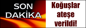 Ölen yaralanan yok