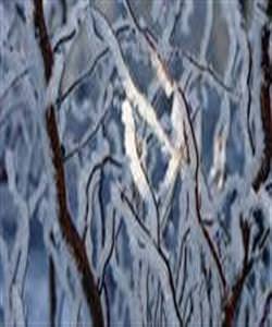 Kars'a mayıs karı yağdı