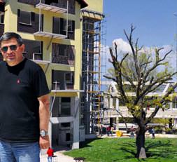 1 milyon dolarlık ağaç