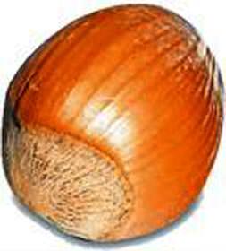 Kolestrol düşmanı