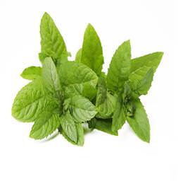 Nane yağının faydaları