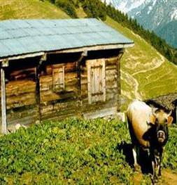 Karadeniz’in büyüleyen yaylaları