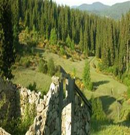 Ordu’da yayla turizmi