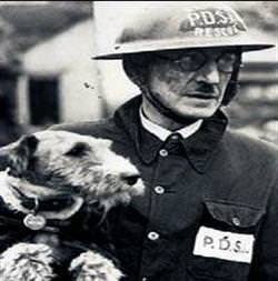 Londra kahraman köpekleri unutmadı!