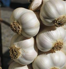 Bir faydası daha ortaya çıktı