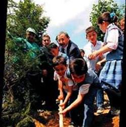 Sancaktepe'de 10 bin fidan dağıtıldı