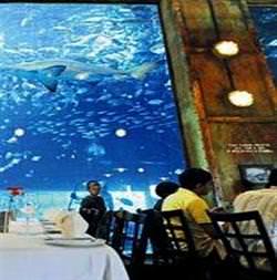 Hayalet gemide restoran