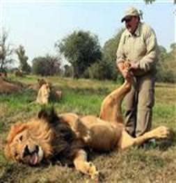 254 kiloluk aslana ayak masajı